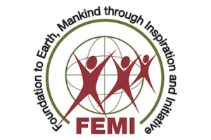FEMI - bedrijfsfan